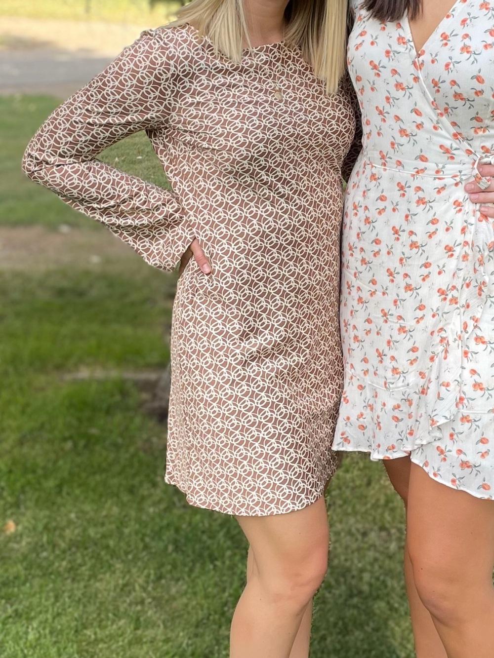 Dynamite Long-Sleeve Satin Brown Patterned Mini Dress